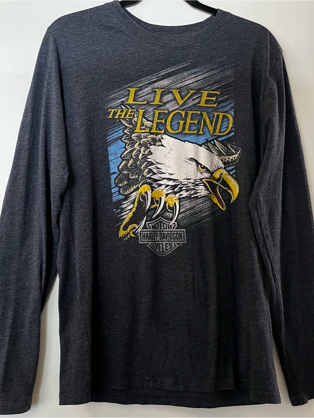 Harley-Davidson | Graphic Long Sleeve Shirt